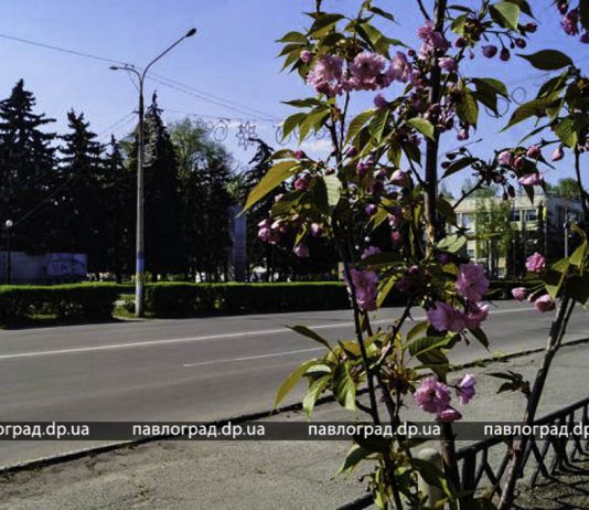 Лето не за горами: в Павлограде сильно потеплеет