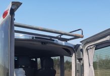 В Павлограде во время рейда в лесу выявили хищение песка