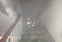 В Павлограде едва не погибли два соседа (ФОТО)