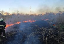 Во время карантина в Павлограде выросло количество пожаров