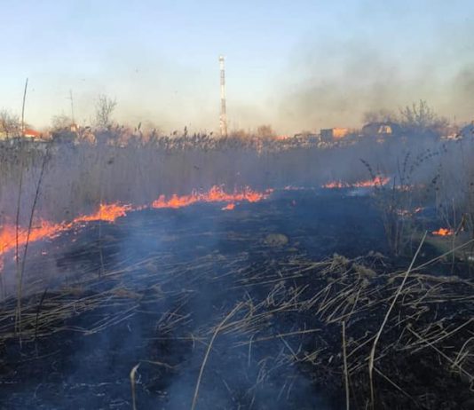 Во время карантина в Павлограде выросло количество пожаров