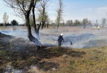 В Павлограде сгорел гектар сухостоя