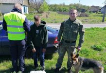 Подросток из Павлограда прятался от полицейских в лесополосе