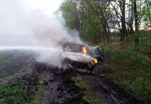 Вблизи Булаховки сгорела иномарка (ФОТО)