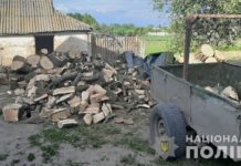 В Павлоградском районе незаконно срубили 60 деревьев