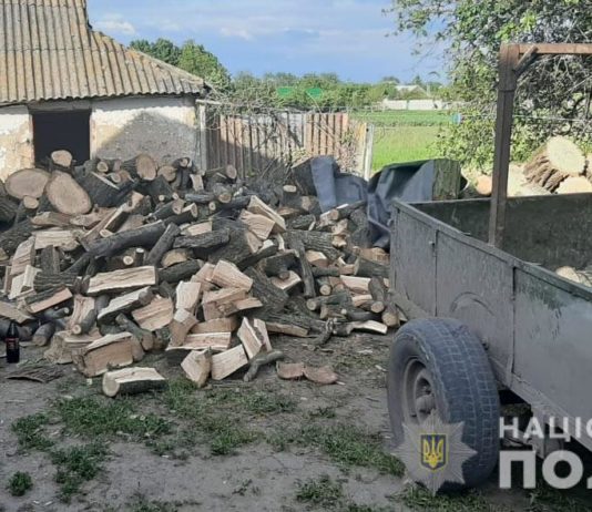 В Павлоградском районе незаконно срубили 60 деревьев