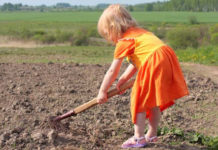 На Днепропетровщине в трёх детских домах эксплуатировали и развращали детей-сирот, — прокуратура