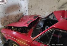 Полицейские Павлограда задержали водителя, который скрывался после смертельного ДТП