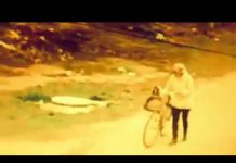 «Рано мы наметили курс в ЕС»: павлоградка с мусором попала на видео