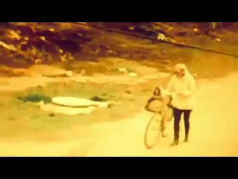 «Рано мы наметили курс в ЕС»: павлоградка с мусором попала на видео