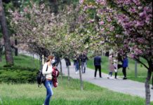 Транспорт запустят: в Днепропетровской области таки решили вводить послабления карантина