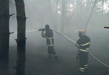 Возле с. Марьина Роща горел лес