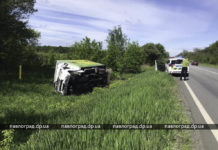 Под Павлоградом перевернулась машина с цветами (ВИДЕО)