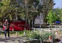 Искусство на карантине: в одном из дворов Павлограда сыграл саксофонист (ВИДЕО)