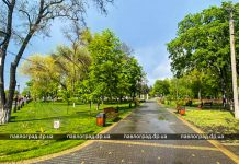 Павлоград накрыли дожди и грозы. До какого числа будет «греметь»?