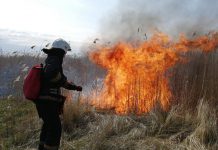 В Павлоградском районе сгорели 2 га травы и камыша