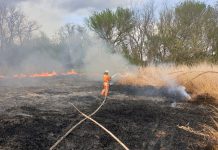 В Юрьевском районе произошел масштабный пожар в экосистеме