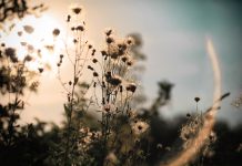 У павлоградца обнаружили опасную болезнь