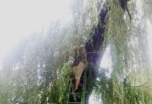 На Днепропетровщине женщина полезла за котом и застряла вместе с ним