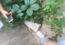 В Павлограде задержали «закладчика» наркотиков