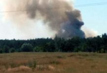 В Павлограде горела лесная подстилка (ФОТО)