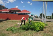 В Павлограде подростки продолжают работать в сфере благоустройства