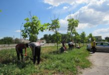 Чи запрацює у Павлограді програма літнього працевлаштування підлітків?