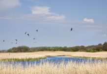 Один из природных уголков Павлоградщины стал «туристическим магнитом»