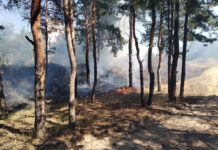 На Павлоградщине — сразу два пожара в экосистемах