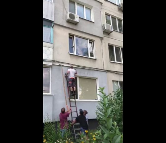 Жуткое зрелище: в Павлограде спасали собаку, застрявшую в окне (ВИДЕО)