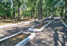 В Першотравенске за 28 млн грн реконструируют городской парк