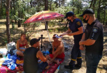 В лесах Павлоградщины проводят рейды