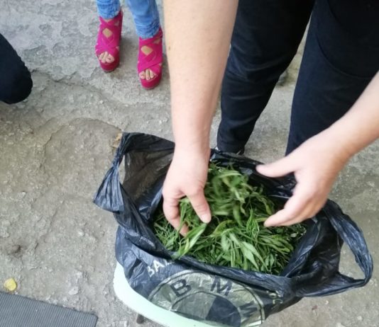 У павлоградца дома нашли полкило марихуаны