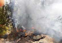 На одном из районов Павлограда загорелось 60 кв. метров мусора