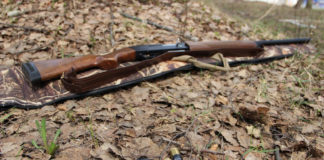 На Павлоградщині заборонили полювання