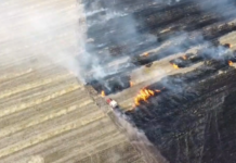 «Погнал своего железного коня прямо в огонь» : под Павлоградом мужчина в одиночку тушил поле (ВИДЕО)