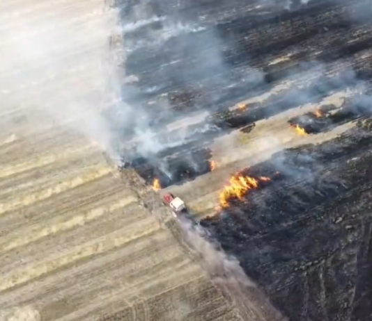 «Погнал своего железного коня прямо в огонь» : под Павлоградом мужчина в одиночку тушил поле (ВИДЕО)