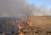 В Павлограде сгорело 2 га сухой травы (ФОТО и ВИДЕО)