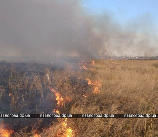 В Павлограде сгорело 2 га сухой травы (ФОТО и ВИДЕО)