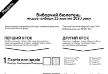 Новые бюллетени: как проголосовать и не ошибиться?