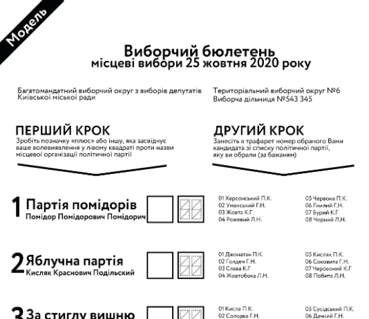 Новые бюллетени: как проголосовать и не ошибиться?
