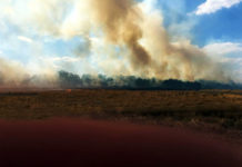 В Павлограде горела заброшенная ферма