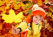 Когда школьники Павлограда пойдут на каникулы?