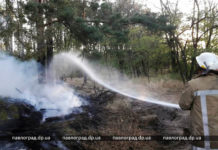 Павлоградщина —в «лидерах» по количеству лесных пожаров