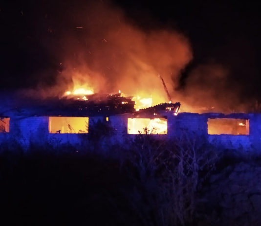 В Павлограде случился пожар в заброшенном здании птицефермы