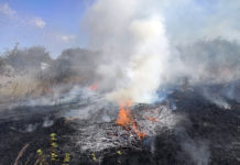 За день в Павлограде сгорело несколько построек