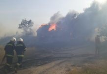 Из-за пожара сухой травы в Павлограде загорелись дома  (ФОТО и ВИДЕО)