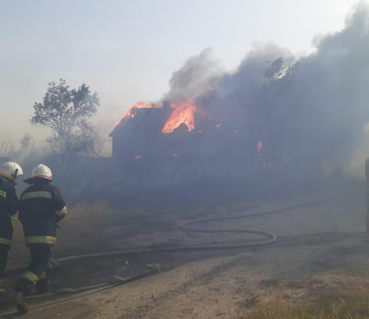 Из-за пожара сухой травы в Павлограде загорелись дома (ФОТО и ВИДЕО)
