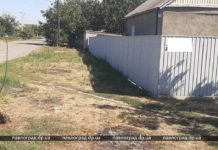 Расжигая костёр, павлоградка нарушила правила благоустройства