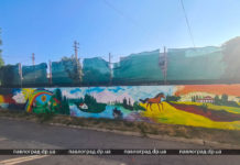 В Павлограде неприметный забор… зажил своей жизнью (ФОТО)